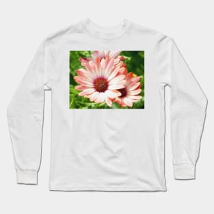 Macro Pink Cinnamon Tradwind Daisy Flower in the Garden Long Sleeve T-Shirt